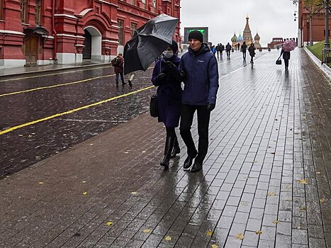 Москвичам пообещали дождливую погоду во вторник