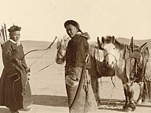 Были ли татары монголами
