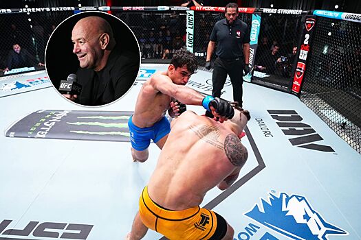 TUF 33, The Ultimate Fighter, Дана Уайт, состав участников, наставники команд, Даниэль Кормье и Чейл Соннен, причины кризиса