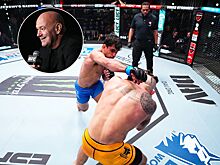 TUF 33, The Ultimate Fighter, Дана Уайт, состав участников, наставники команд, Даниэль Кормье и Чейл Соннен, причины кризиса