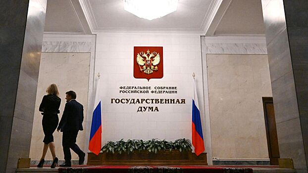 В Госдуме оценили перспективу введения зарплат для домохозяек
