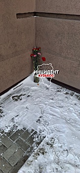 Очевидцы сообщили о падении девочки с девятого этажа в Кемерове