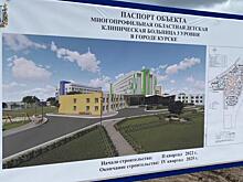 Хинштейн обсудил с Файзуллиным стройку детской больницы и очистные