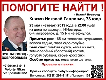 73-летний Николай Князев пропал в Нижнем Новгороде