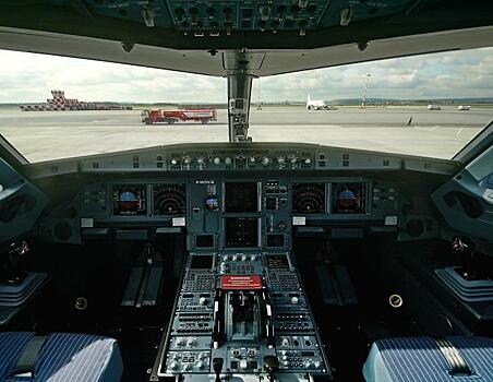 Версия авиапроисшествия: в жесткой посадке Airbus А-321 виноваты люди, а не птицы