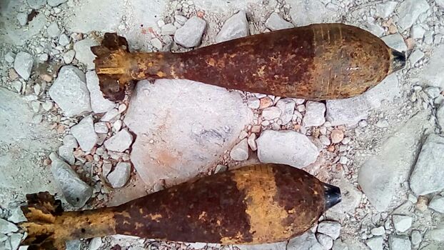 В лесу под Туапсе местные жители обнаружили две мины времен ВОВ