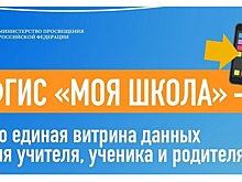 Доступ к системе "Моя школа" с учебного года получит почти четверть школ Ставрополья