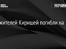 Двое жителей Киришей погибли на СВО