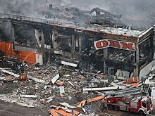 Появились подробности о задержанном по делу о пожаре в ТЦ «Мега Химки»
