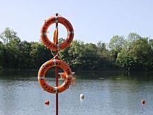 На озере Карповском в Калининграде запретили купаться из-за энтеровирусов