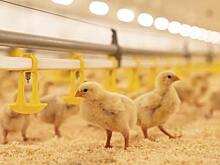 Троян Emotet удесятерил спам-активность и начал атаковать 64-битные системы