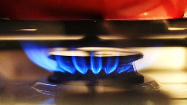 Пять стран ЕС хотят выяснить причину рекордного скачка цен на газ