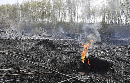 Площадь лесных пожаров в Сибири и на Дальнем востоке за выходные снизилась на 17 тыс. га