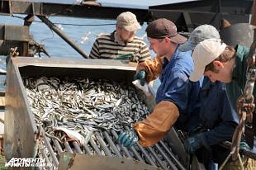 Дары Балтики. Как политика, браконьеры и старый флот влияют на вылов рыбы