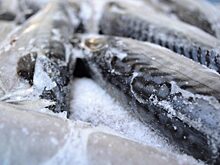 Горобцов усомнился в качестве рыбы, закупленной для детсадов с 50-процентной экономией