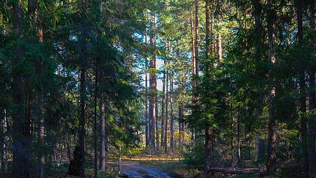 В Нижегородской области планируют построить новую базу отдыха