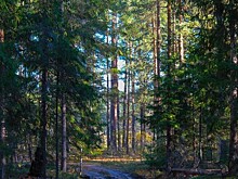 В Нижегородской области планируют построить новую базу отдыха