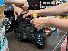 В Пензе в день последнего звонка торговали алкоголем