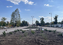 В парке Центрального района Тольятти продолжается реконструкция