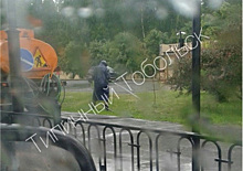 В Тобольске во время затяжных дождей продолжают поливать уличные клумбы