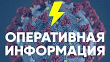 Еще 275 человек заболели коронавирусом в Волгоградской области