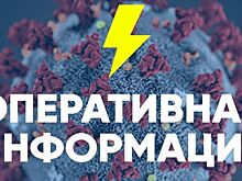 Еще 275 человек заболели коронавирусом в Волгоградской области