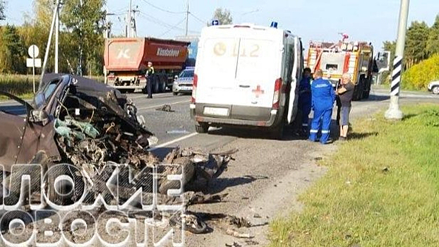 Конечности на дороге: смертельное ДТП с участием фуры произошло в Подмосковье