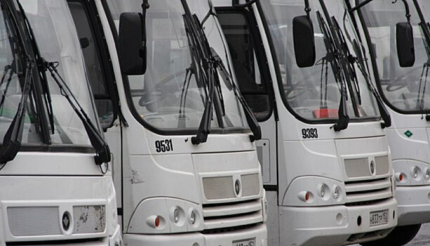 В мэрии назвали число аварий в Петрозаводске с участием автобусов