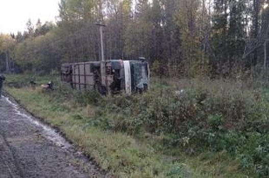 В Пермском крае автобус съехал в кювет