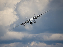 Стало известно о судьбе экипажа упавшего под Иваново Ан-22