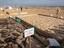 Участники конгресса молодых ученых предложили эксперимент по спасению Анапы от мазута