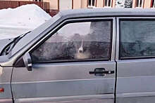 В Башкортостане щенка закрыли в машине в мороз