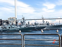 Голосовой помощник «Алиса» записала обращение для приморцев