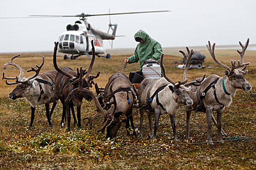 «В России знают, что такое вечная мерзлота». Нобелевский лауреат — о глобальном потеплении, исчезающих льдах и новом мире