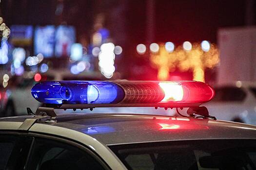 Мигрант обокрал российского студента и проводил его до дома