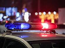 Мигрант обокрал российского студента и проводил его до дома