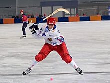 ЧМ по хоккею с мячом 2020 года может пройти в Красноярске