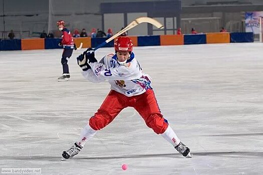 ЧМ по хоккею с мячом 2020 года может пройти в Красноярске