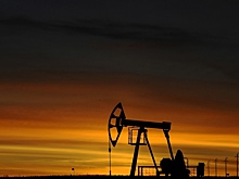 Прогнозы ОПЕК и МЭА по росту спроса на нефть рекордно разошлись