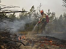 В России потушили 38 природных пожаров за сутки