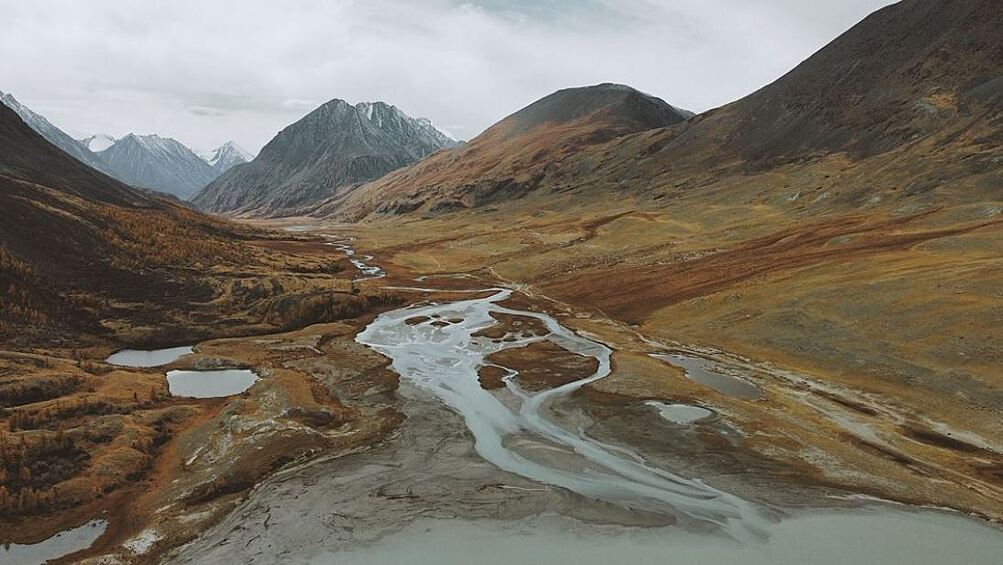 Курайская степь