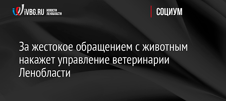 За жестокое обращением с животным накажет управление ветеринарии Ленобласти