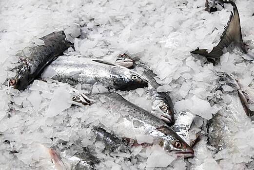Как засолить горбушу в домашних условиях