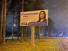 В Чкаловском районе Екатеринбурга массово зачистили плакаты двух партий