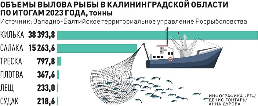 Почему в минувшем году калининградские рыбаки не выбрали квоты на вылов рыбы