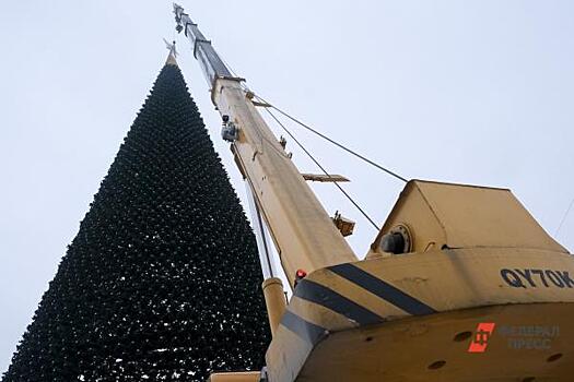 В Мурманске начали убирать новогоднюю елку