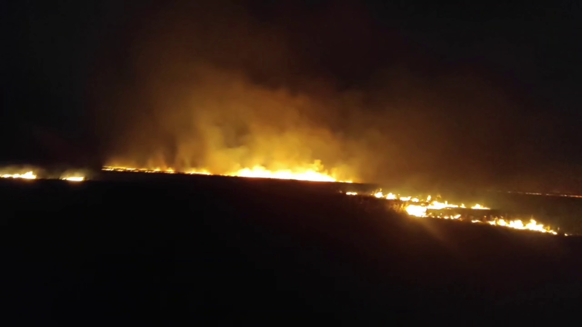 В Воронежской области загорелось поле