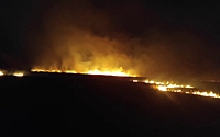 В Воронежской области загорелось поле