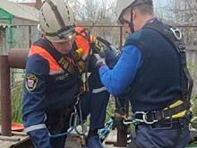 Под Таганрогом спасли упавшую в 12-метровый колодец кошку