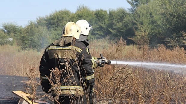 Спасатели предупредили воронежцев о запахе гари в городском микрорайоне